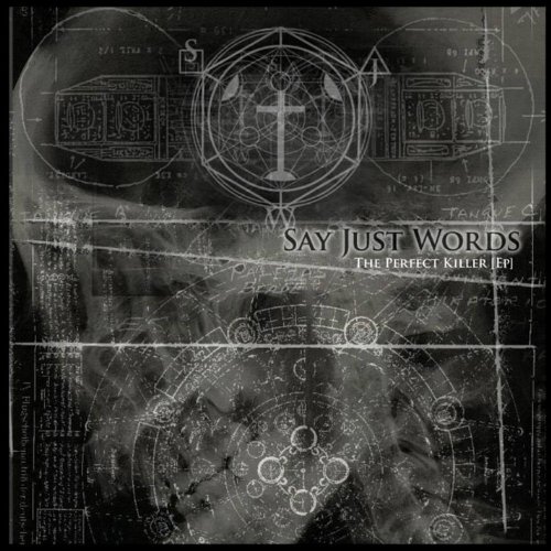 Say Just Words - The Perfect Killer